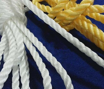 Market Prospect of Plastic Rope Yarn Extruder Machine